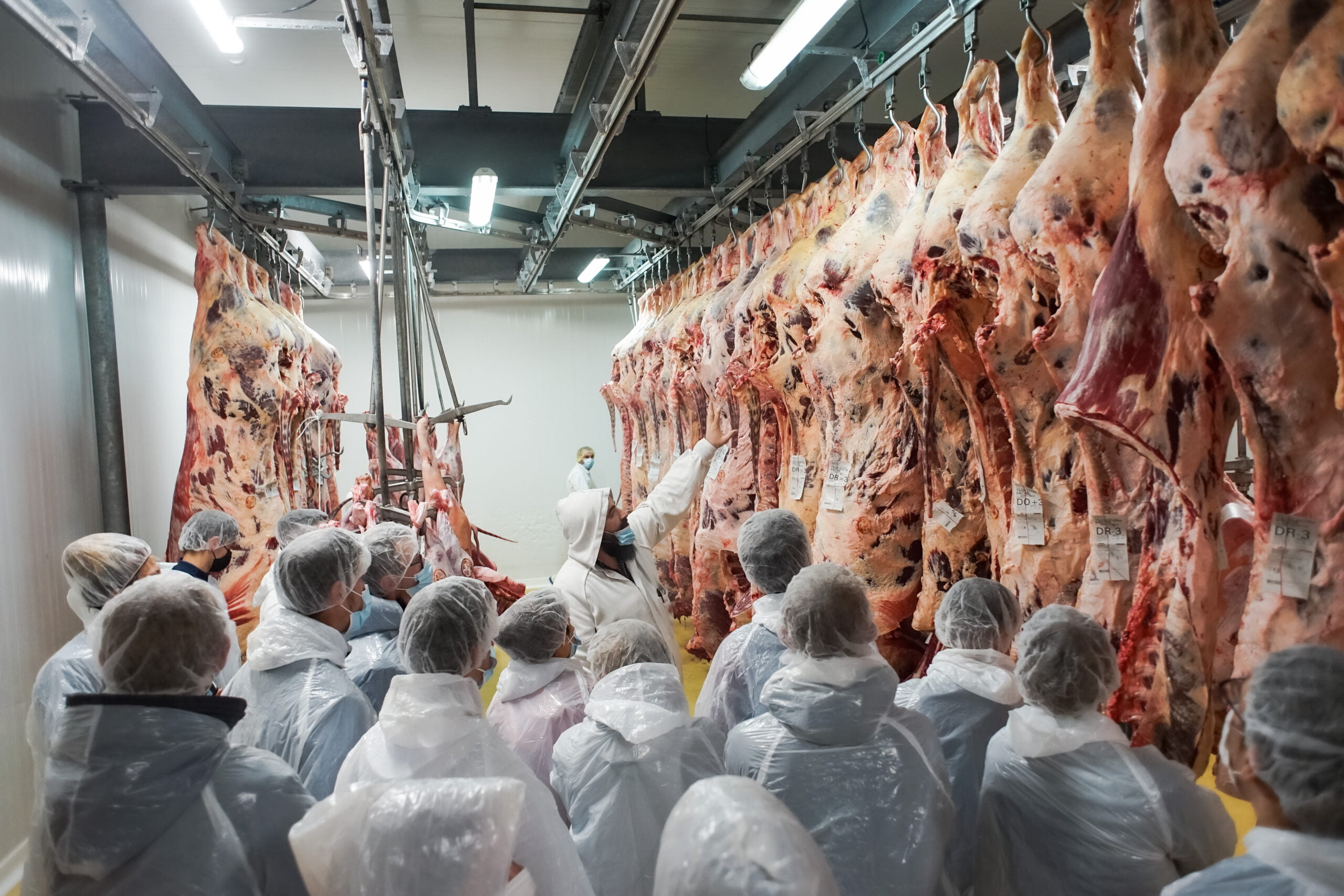 Comment recruter un boucher en Bretagne