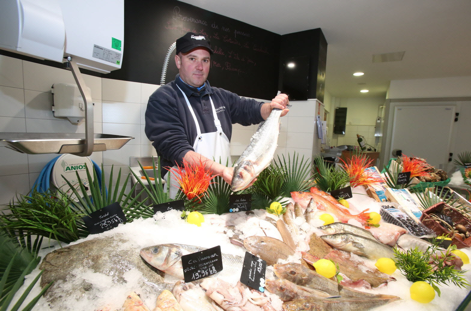 Exemple : Fiche de poste Chef Poissonnier